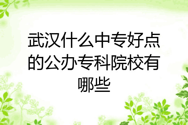武汉什么中专好点的公办专科院校有哪些