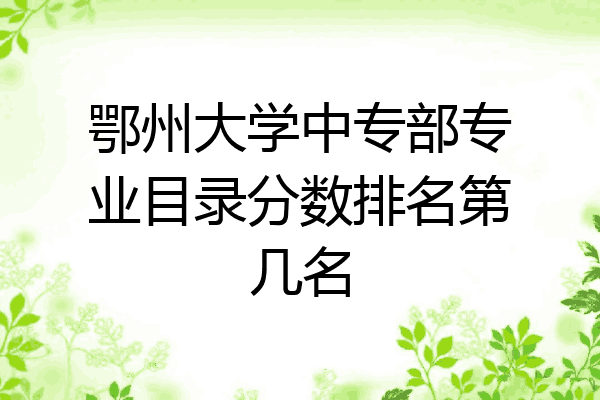 鄂州大学中专部专业目录分数排名第几名