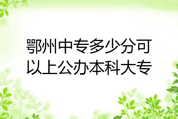 鄂州中专多少分可以上公办本科大专