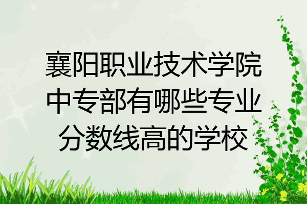 襄阳职业技术学院中专部有哪些专业分数线高的学校