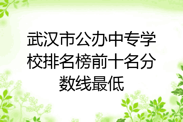 武汉市公办中专学校排名榜前十名分数线最低