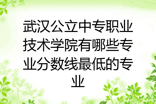 武汉公立中专职业技术学院有哪些专业分数线最低的专业