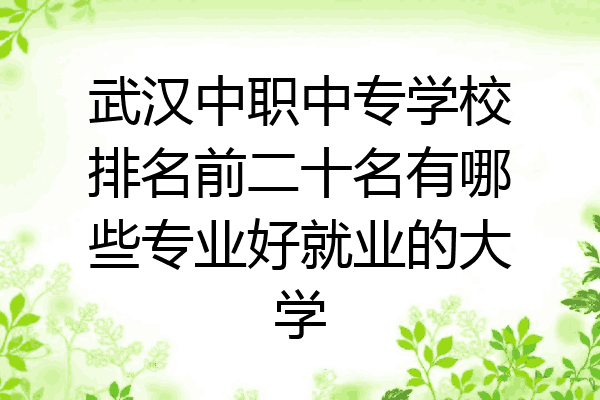 武汉中职中专学校排名前二十名有哪些专业好就业的大学