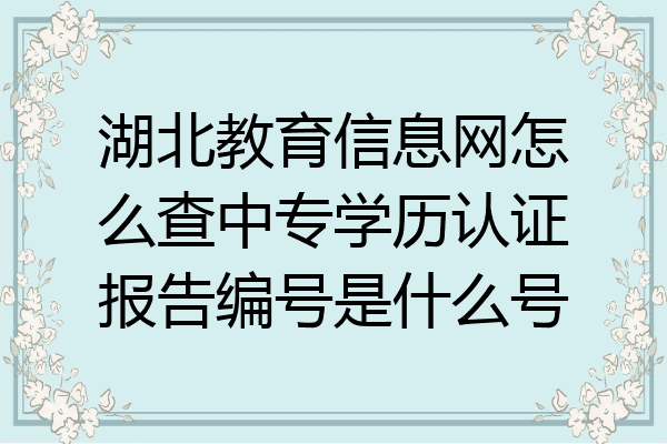 湖北教育信息网怎么查中专学历认证报告编号是什么号