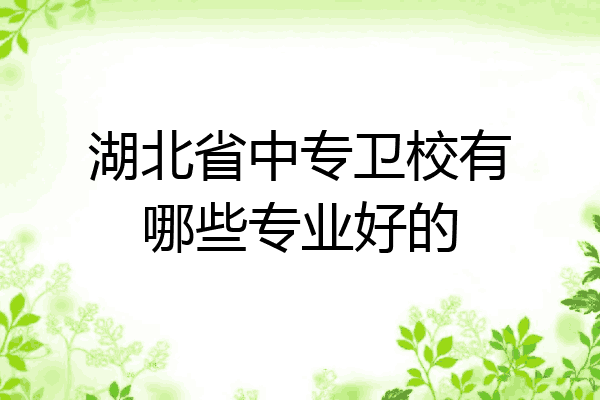 湖北省中专卫校有哪些专业好的