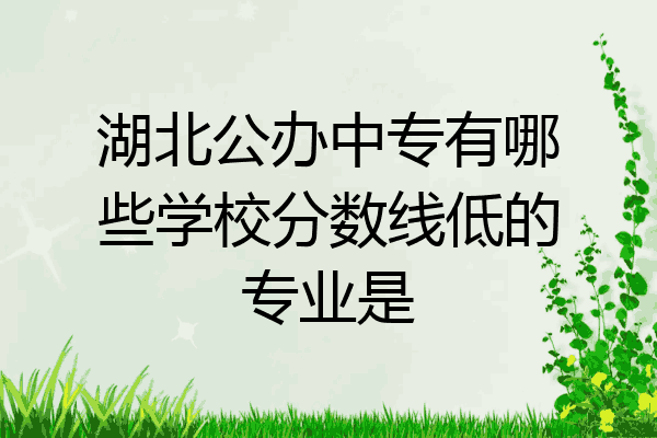 湖北公办中专有哪些学校分数线低的专业是