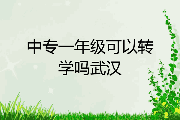 中专一年级可以转学吗武汉