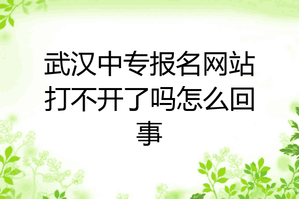 武汉中专报名网站打不开了吗怎么回事