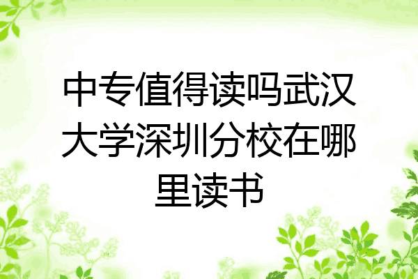 中专值得读吗武汉大学深圳分校在哪里读书