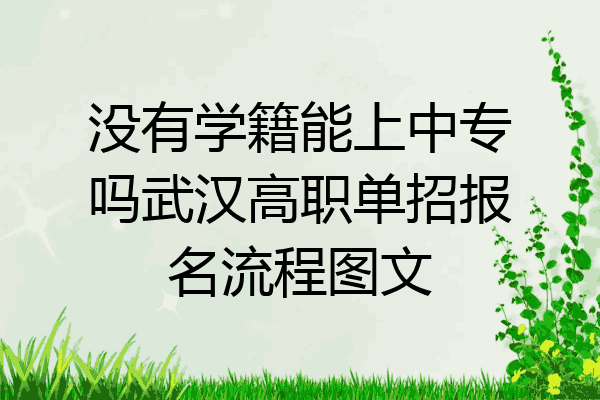 没有学籍能上中专吗武汉高职单招报名流程图文