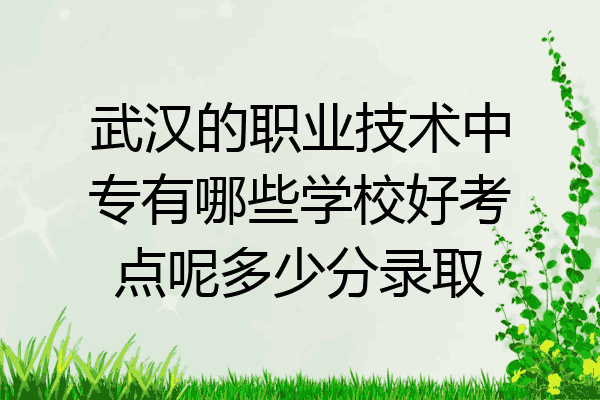 武汉的职业技术中专有哪些学校好考点呢多少分录取