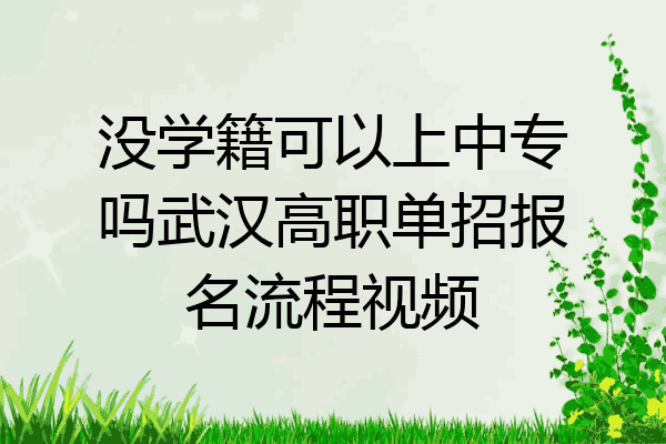 没学籍可以上中专吗武汉高职单招报名流程视频
