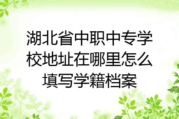 湖北省中职中专学校地址在哪里怎么填写学籍档案