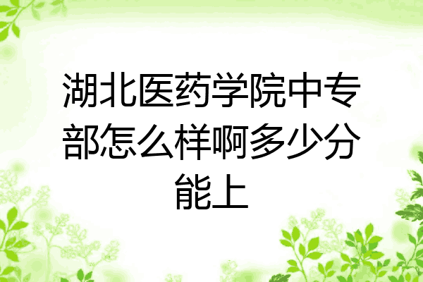 湖北医药学院中专部怎么样啊多少分能上