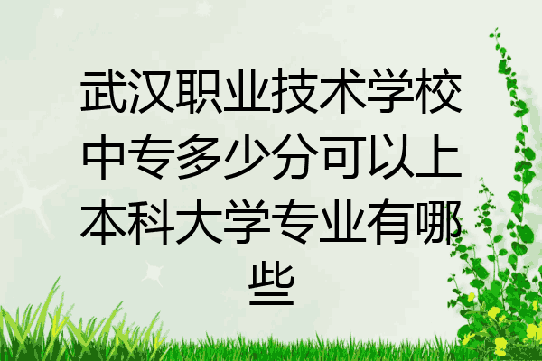武汉职业技术学校中专多少分可以上本科大学专业有哪些