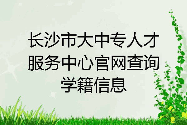 长沙市大中专人才服务中心官网查询学籍信息