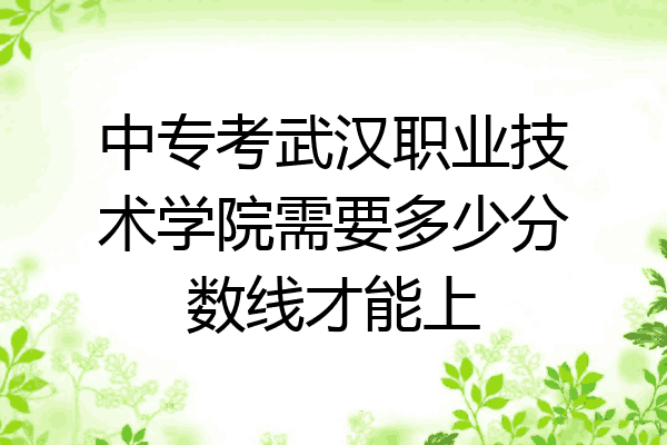 中专考武汉职业技术学院需要多少分数线才能上