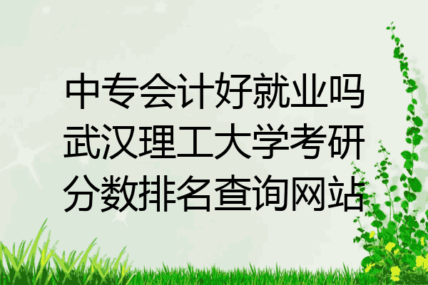 中专会计好就业吗武汉理工大学考研分数排名查询网站