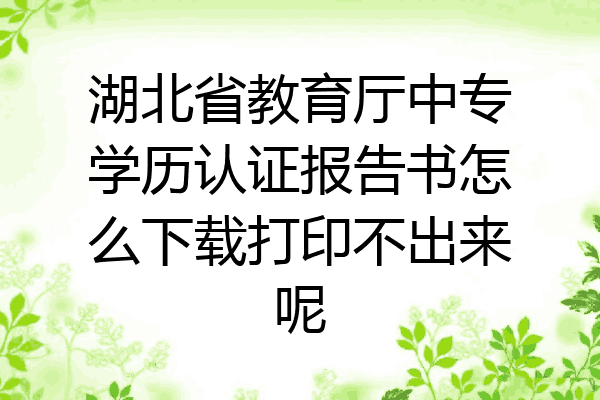 湖北省教育厅中专学历认证报告书怎么下载打印不出来呢