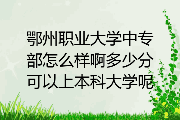 鄂州职业大学中专部怎么样啊多少分可以上本科大学呢