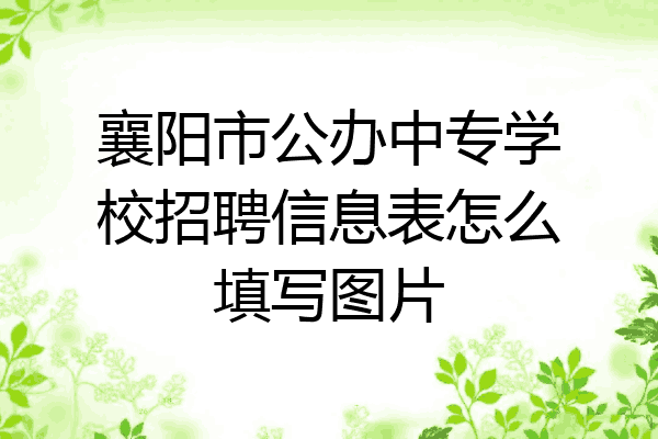 襄阳市公办中专学校招聘信息表怎么填写图片