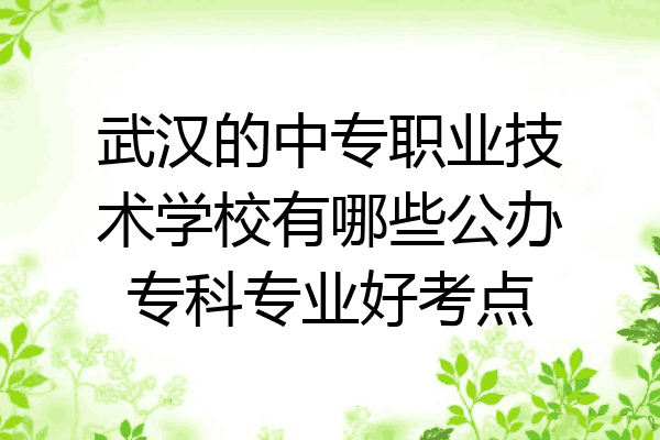 武汉的中专职业技术学校有哪些公办专科专业好考点