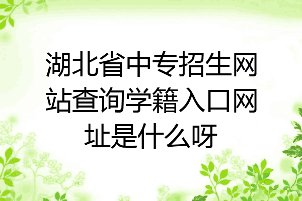 湖北省中专招生网站查询学籍入口网址是什么呀