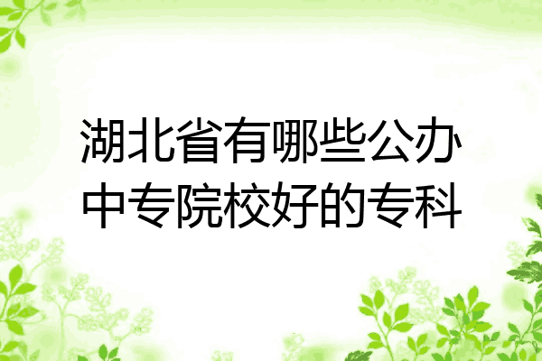 湖北省有哪些公办中专院校好的专科