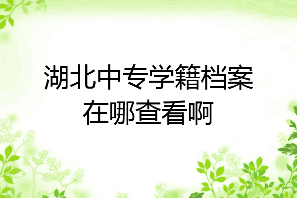 湖北中专学籍档案在哪查看啊