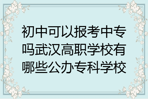 初中可以报考中专吗武汉高职学校有哪些公办专科学校