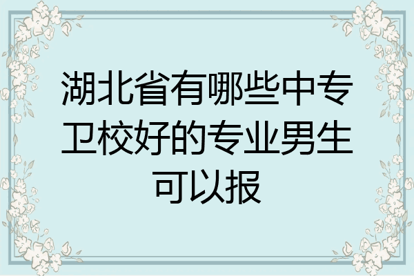 湖北省有哪些中专卫校好的专业男生可以报