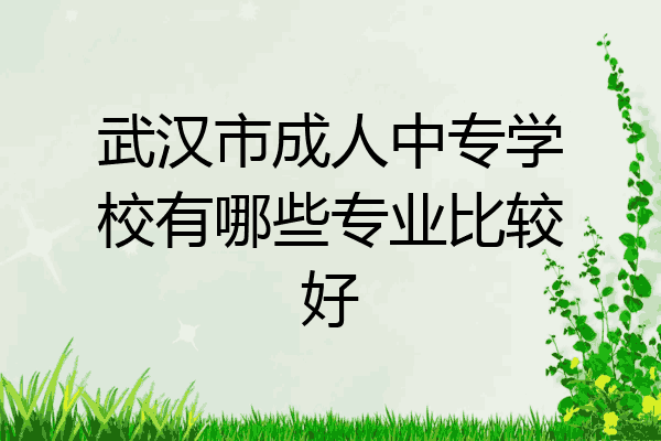 武汉市成人中专学校有哪些专业比较好