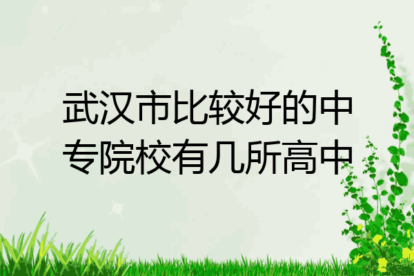 武汉市比较好的中专院校有几所高中