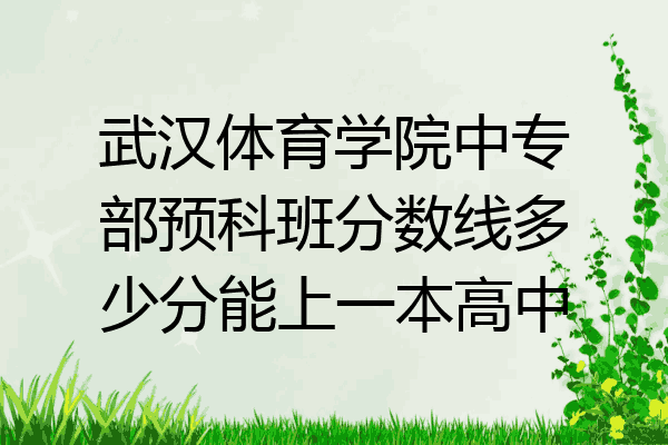 武汉体育学院中专部预科班分数线多少分能上一本高中