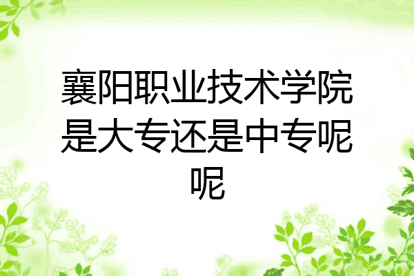 襄阳职业技术学院是大专还是中专呢呢