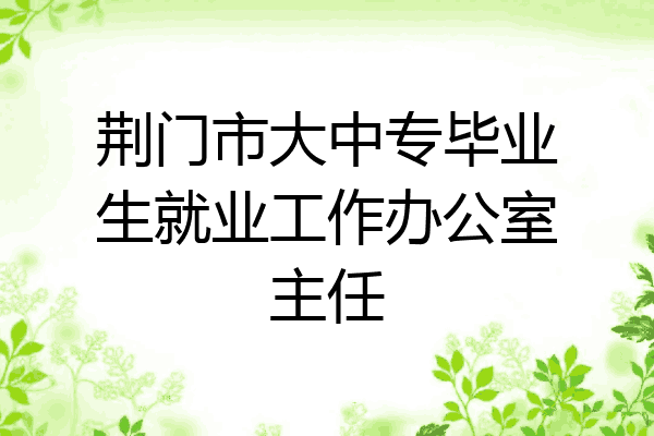 荆门市大中专毕业生就业工作办公室主任