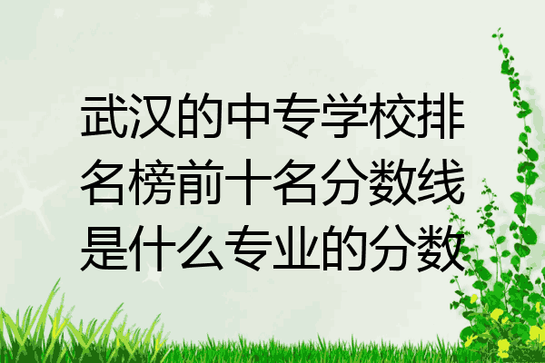 武汉的中专学校排名榜前十名分数线是什么专业的分数