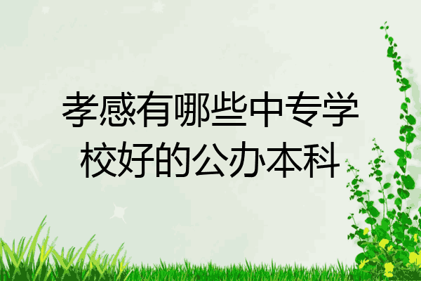 孝感有哪些中专学校好的公办本科