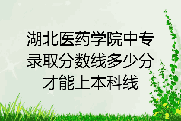 湖北医药学院中专录取分数线多少分才能上本科线