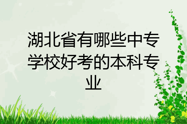 湖北省有哪些中专学校好考的本科专业