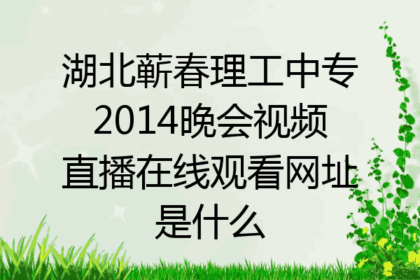 湖北蕲春理工中专2014晚会视频直播在线观看网址是什么