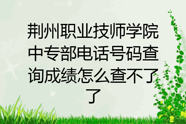 荆州职业技师学院中专部电话号码查询成绩怎么查不了了
