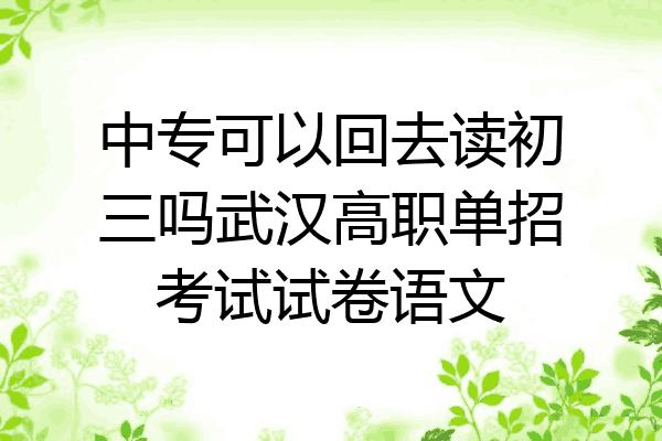 中专可以回去读初三吗武汉高职单招考试试卷语文