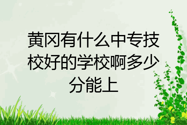 黄冈有什么中专技校好的学校啊多少分能上