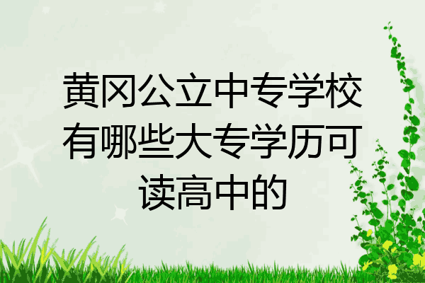 黄冈公立中专学校有哪些大专学历可读高中的