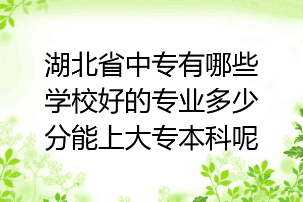 湖北省中专有哪些学校好的专业多少分能上大专本科呢