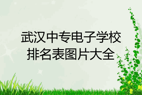 武汉中专电子学校排名表图片大全