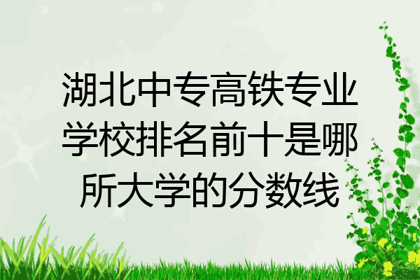 湖北中专高铁专业学校排名前十是哪所大学的分数线