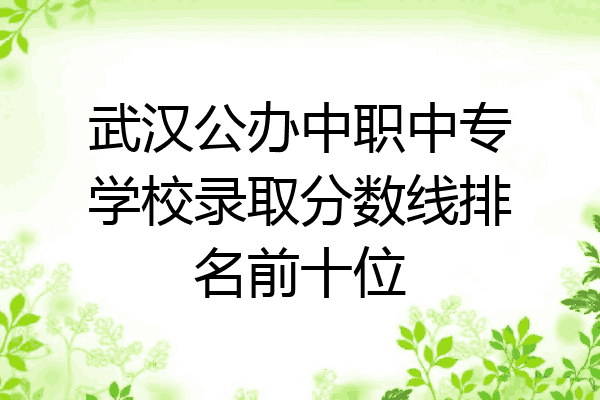 武汉公办中职中专学校录取分数线排名前十位