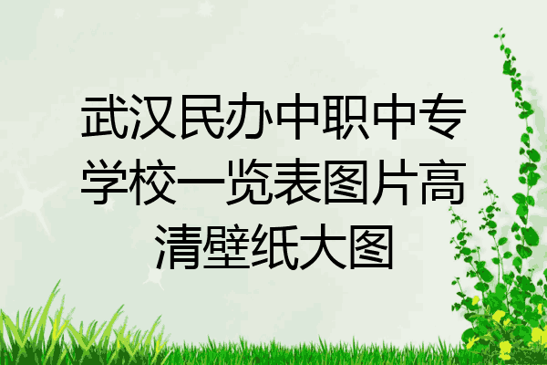 武汉民办中职中专学校一览表图片高清壁纸大图